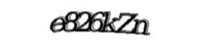 Security check image, please type the characters shown