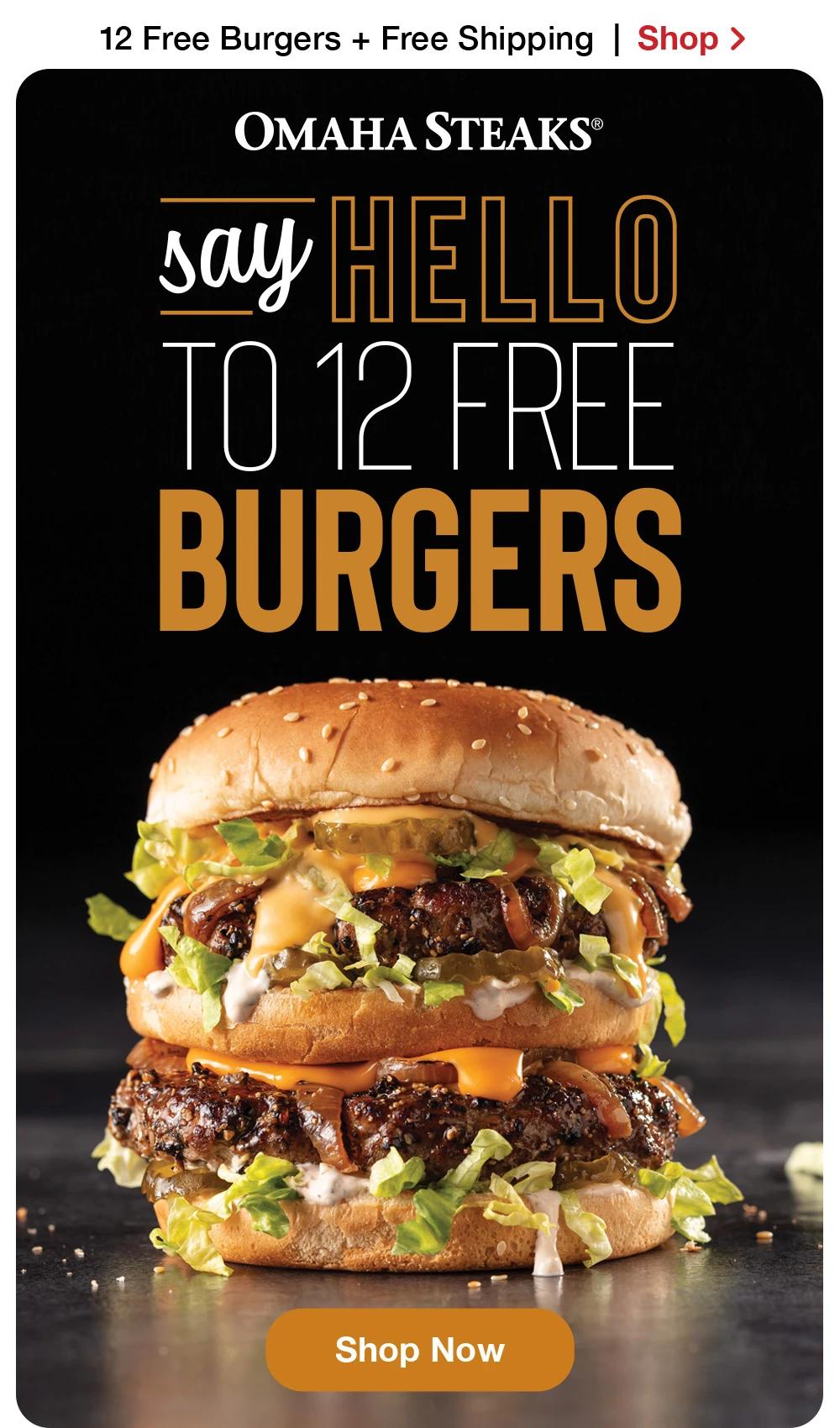 12 free burgers + Free Shipping | SAY HELLO TO ALL-NEW BURGERS | A $44 VALUE! | SHOP NOW