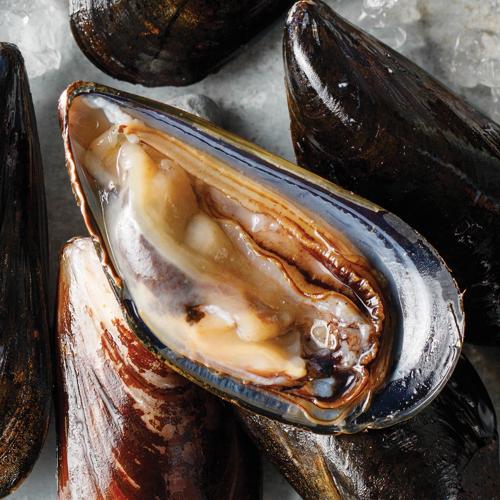 Live Prince Edward Island Mussels 2 Pieces 2 lbs Per Piece