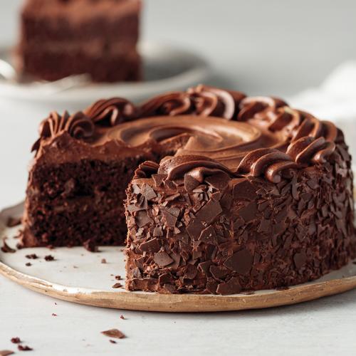 Chocolate Lover's Cake 1 Piece 20 oz